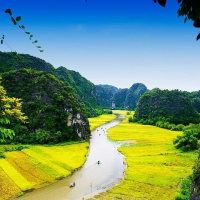 Trip Advisor 480x480