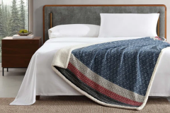 Wayfair 480x320